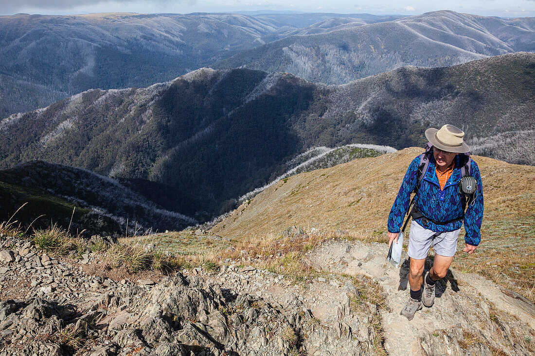 Ein Mann wandert über den Razorback Grat zum Mount Feathertop, Alpine Nationalpark, Victoria, Australien