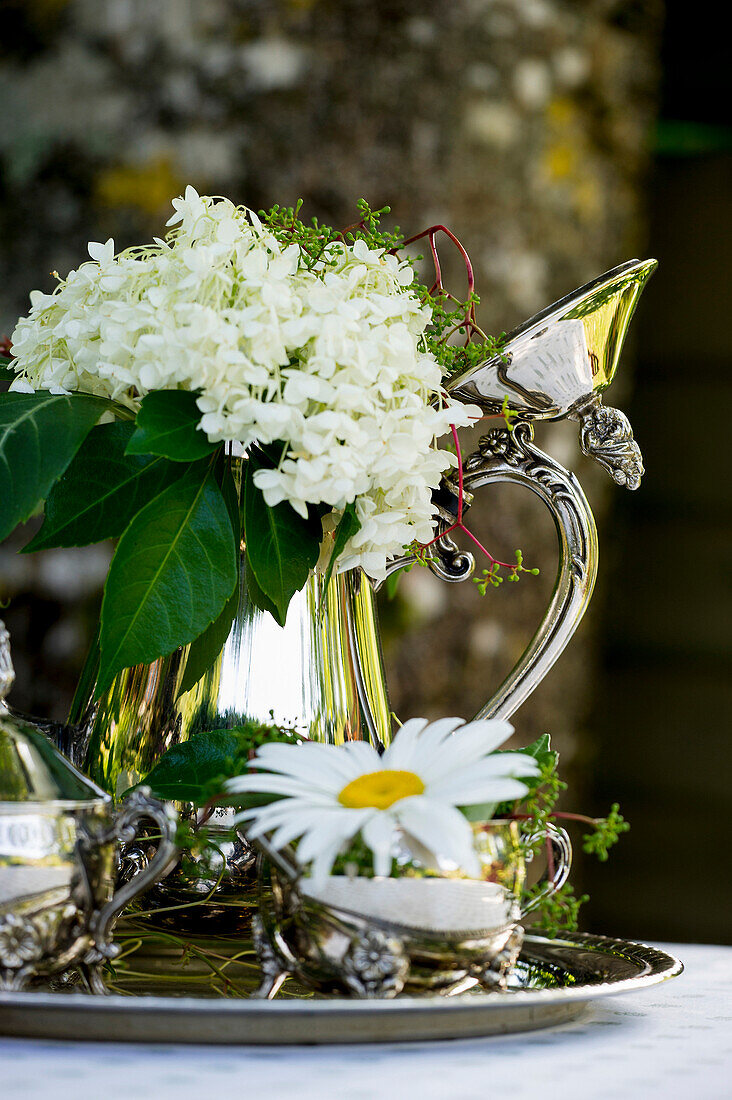 Still life with antique coffee pot and summer flowers, Freiamt, Emmendingen, Baden-Wuerttemberg, Germany