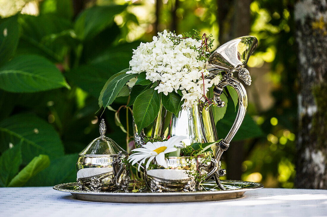 Stillleben mit alter silberner Kaffeekanne und Sommerblumen, Freiamt, Emmendingen, Baden-Württemberg, Deutschland