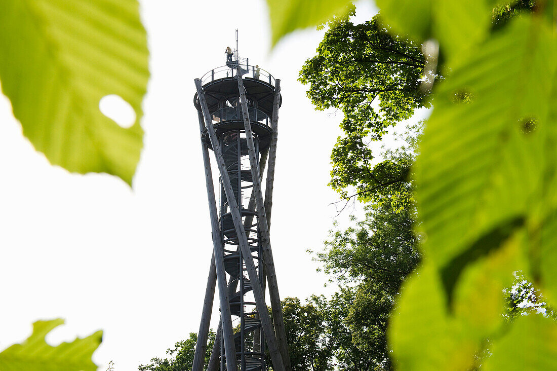 Aussichtsturm am Schlossberg, Freiburg im Breisgau, Schwarzwald, Baden-Würtemberg, Deutschland