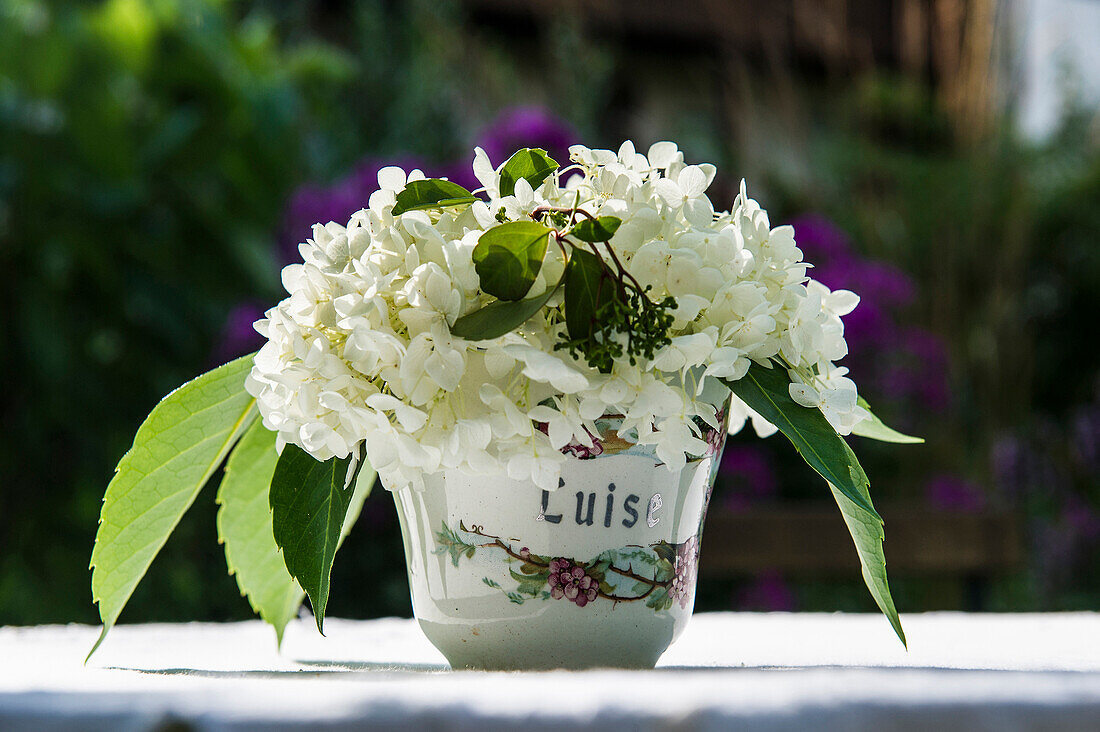 Stillleben mit alter Kaffeetasse und Sommerblumen, Freiamt, Emmendingen, Baden-Württemberg, Deutschland