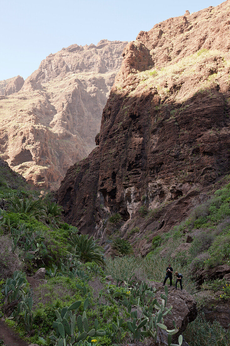 Masca Gorge Hiking Tour, Tenerife, Canary Islands, Spain