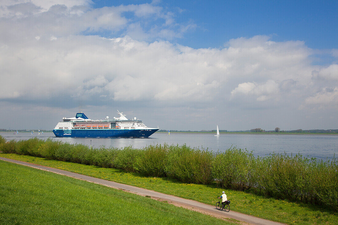 Cruise ship on the Elbe river and biker cycling along the dike, near Steinkirchen, Altes Land, Lower Saxony, Germany