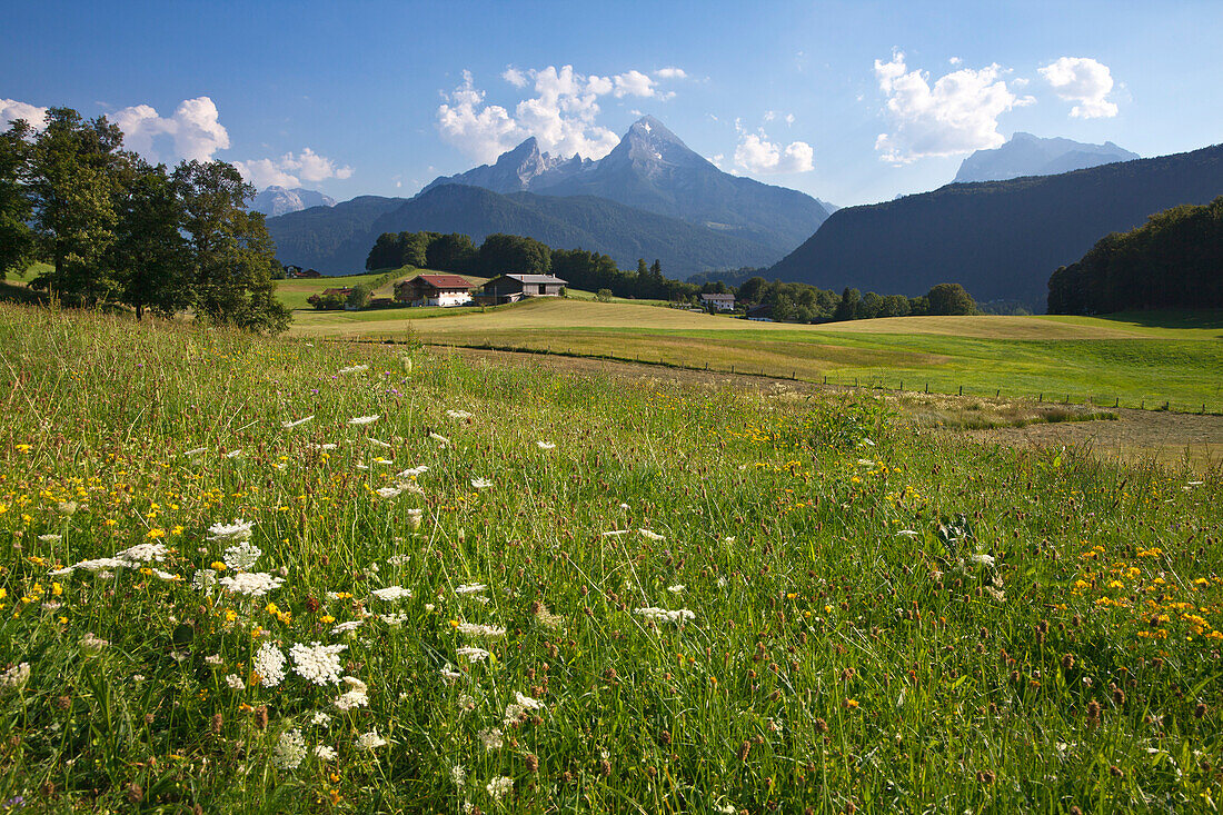 Bauernhöfe vor Watzmann und Hochkalter, Berchtesgadener Land, Nationalpark Berchtesgaden, Oberbayern, Bayern, Deutschland