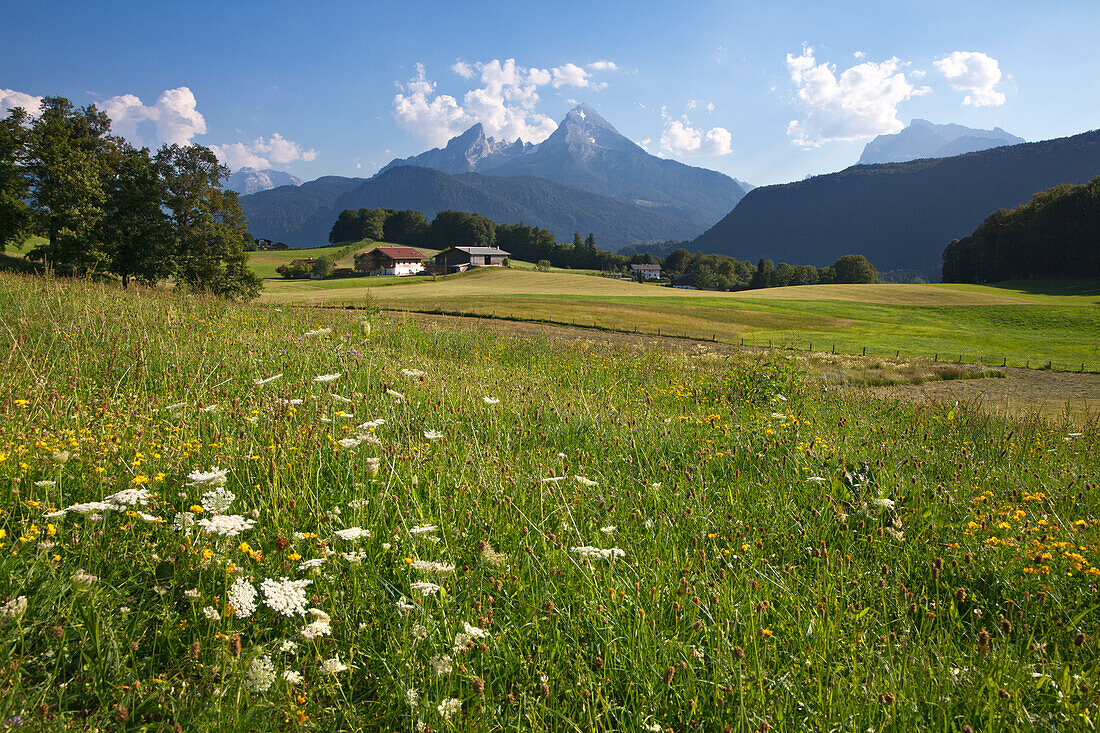 Farm in front of Watzmann and Hochkalter, Berchtesgaden region, Berchtesgaden National Park, Upper Bavaria, Germany