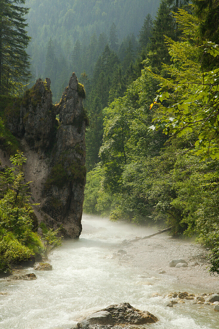 Wimbachtal, bei Ramsau, Berchtesgadener Land, Nationalpark Berchtesgaden, Oberbayern, Bayern, Deutschland