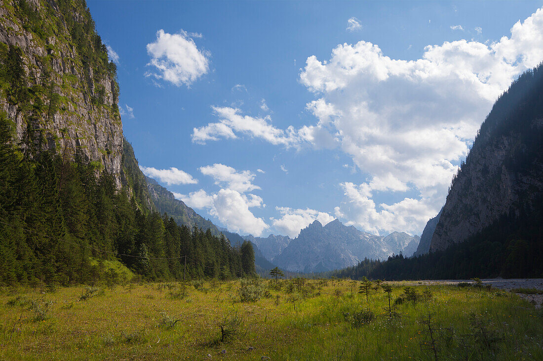 Wimbach valley, view to Palfelhoerner, near Ramsau, Berchtesgaden region, Berchtesgaden National Park, Upper Bavaria, Germany