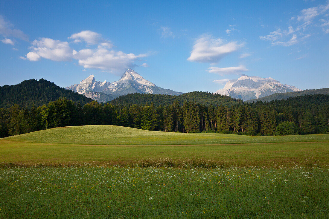 View to Watzmann and Hochkalter in morning light, Berchtesgaden region, Berchtesgaden National Park, Upper Bavaria, Germany