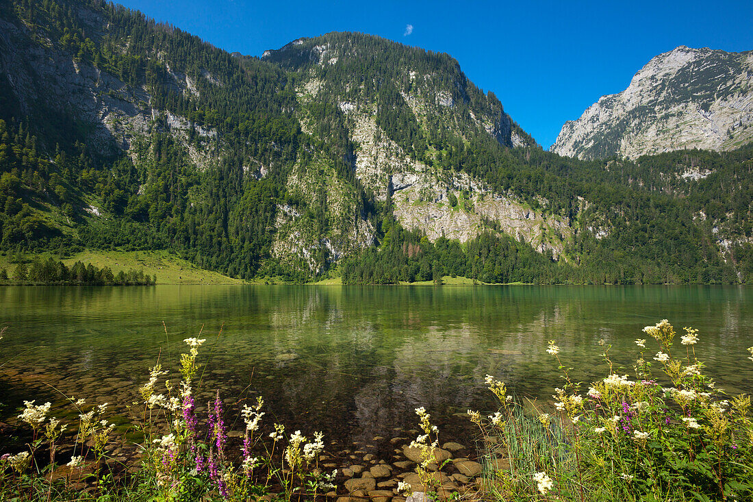 Bei Salet an der Südspitze des Königssees, Berchtesgadener Land, Nationalpark Berchtesgaden, Oberbayern, Bayern, Deutschland