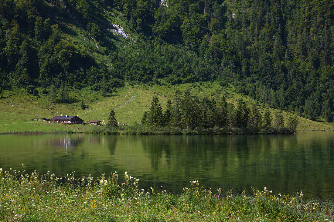 Bei Salet an der Südspitze des Königssees, Berchtesgadener Land, Nationalpark Berchtesgaden, Oberbayern, Bayern, Deutschland