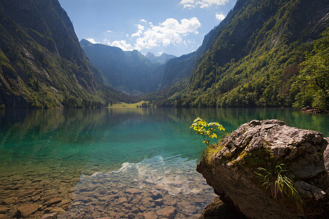 Obersee, Königssee, Berchtesgadener Land, Nationalpark Berchtesgaden, Oberbayern, Bayern, Deutschland