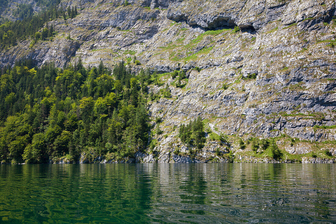 Steep cliff at Koenigssee, Berchtesgaden region, Berchtesgaden National Park, Upper Bavaria, Germany