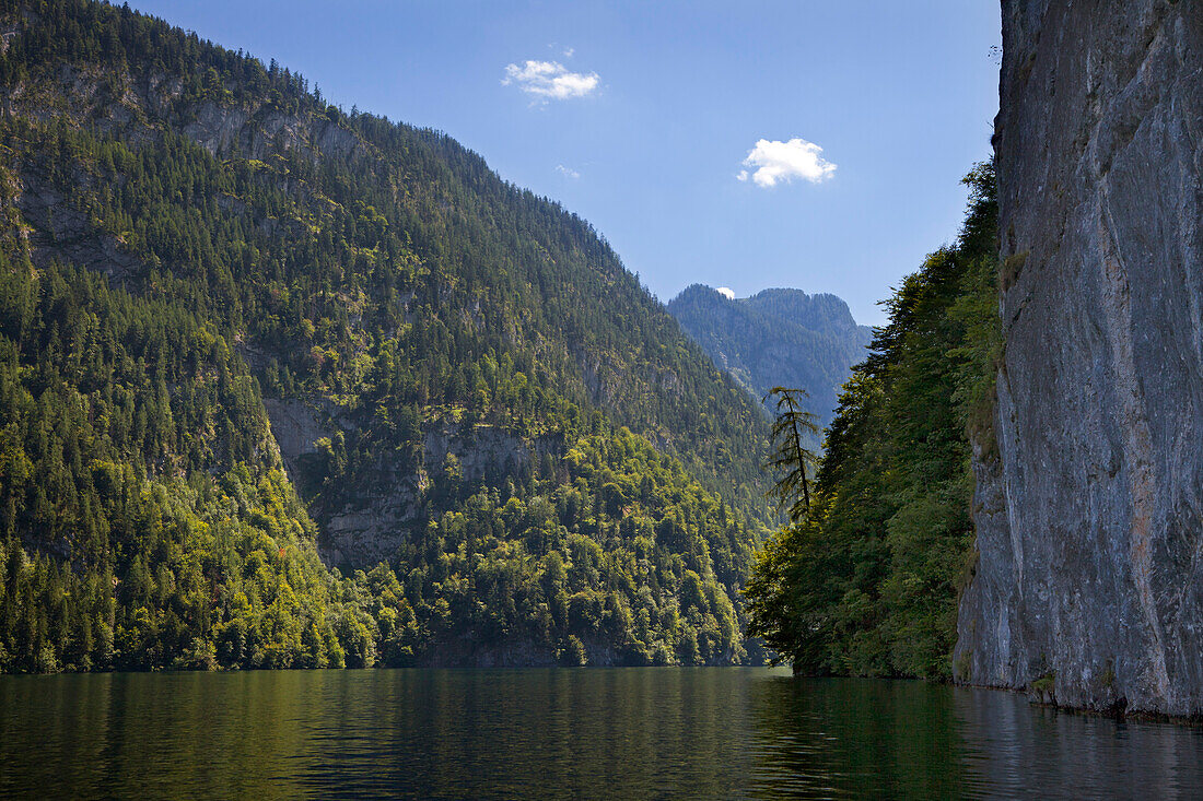 Malerwinkel, Koenigssee, Berchtesgaden region, Berchtesgaden National Park, Upper Bavaria, Germany