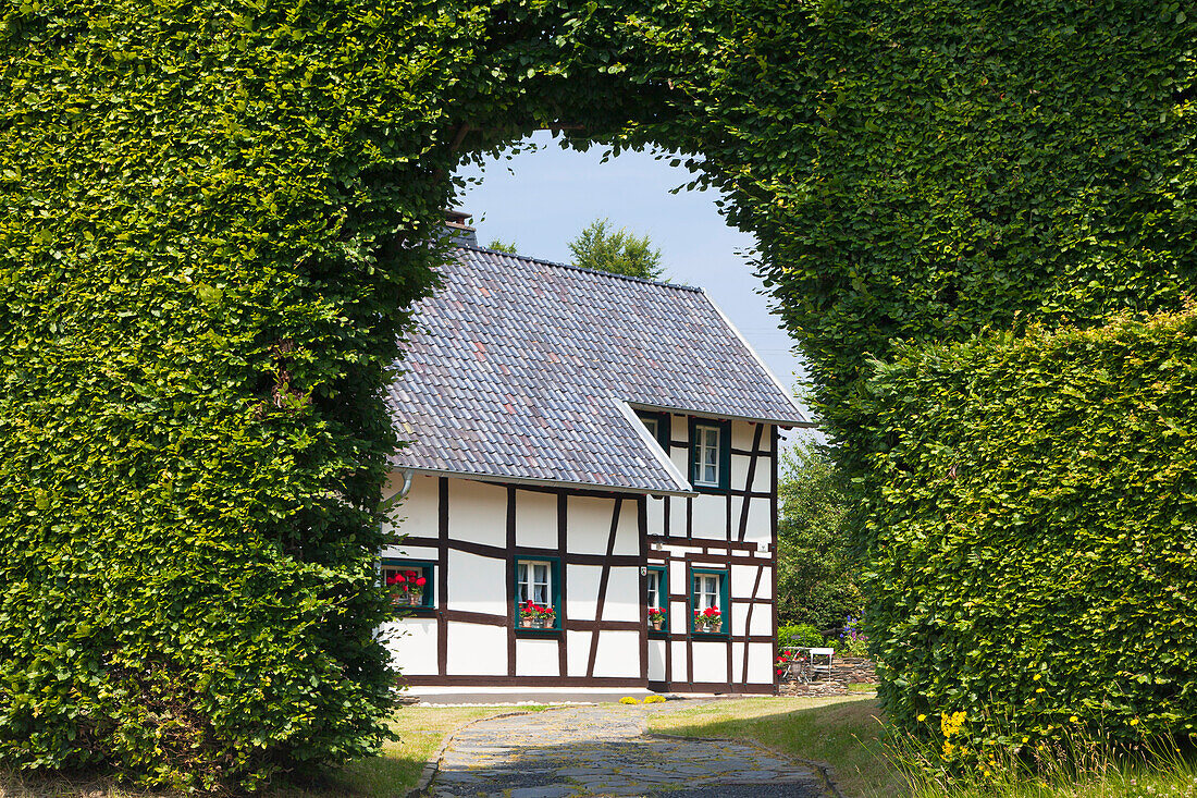 Half-timbered house behind a gate in a hedge of beeches, Monschau-Hoefen, Eifelsteig hiking trail, Eifel, North Rhine-Westphalia, Germany