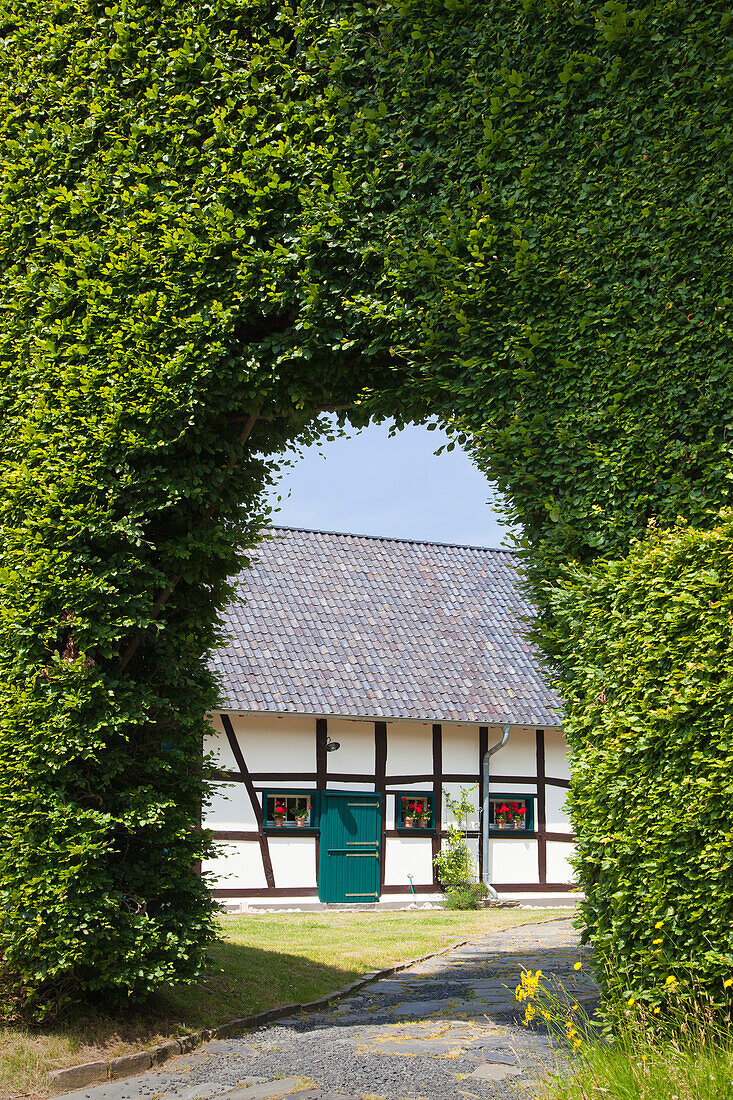 Half-timbered house behind a gate in a hedge of beeches, Monschau-Hoefen, Eifelsteig hiking trail, Eifel, North Rhine-Westphalia, Germany