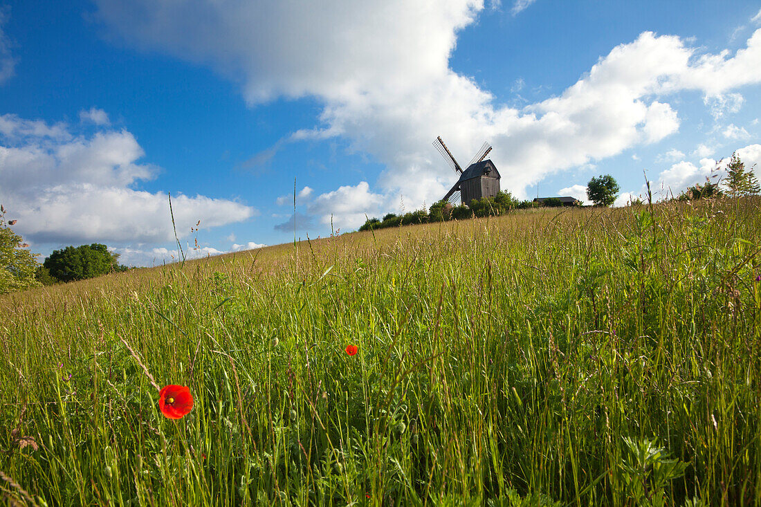 Windmill near Pudagla, Usedom island, Baltic Sea, Mecklenburg Western-Pomerania, Germany