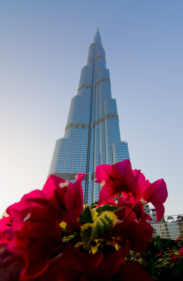 Burj Khalifa With Flowers In The Foreground At Dubai, Uae