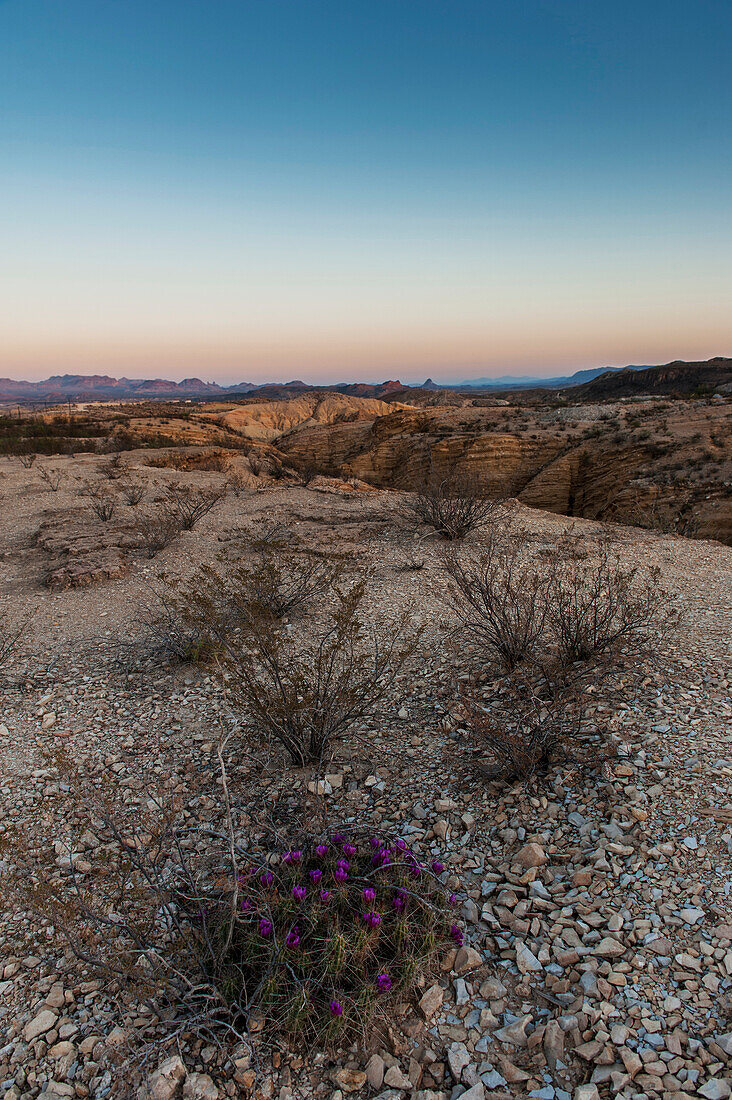 Big Bend National Park, Sunset Viewed From The Porch At The Starlight Theatre Restaurant & Saloon, Terlingua (Ghost Town), Texas, Usa