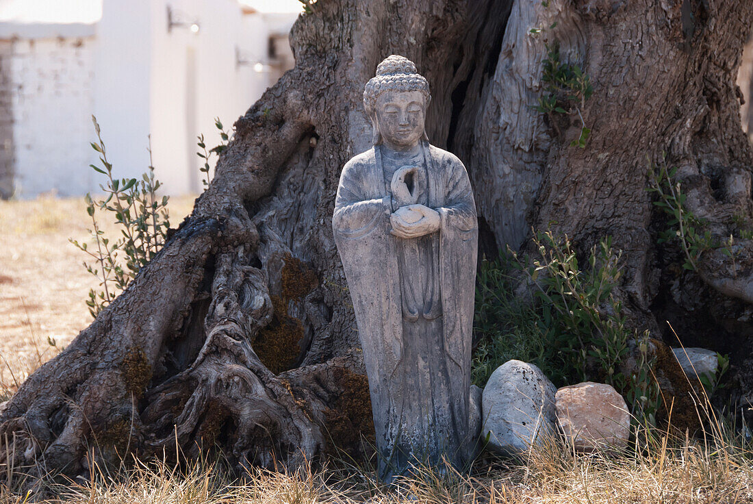 Buddhist Statue In Front Of Tree In Puglia, Italy