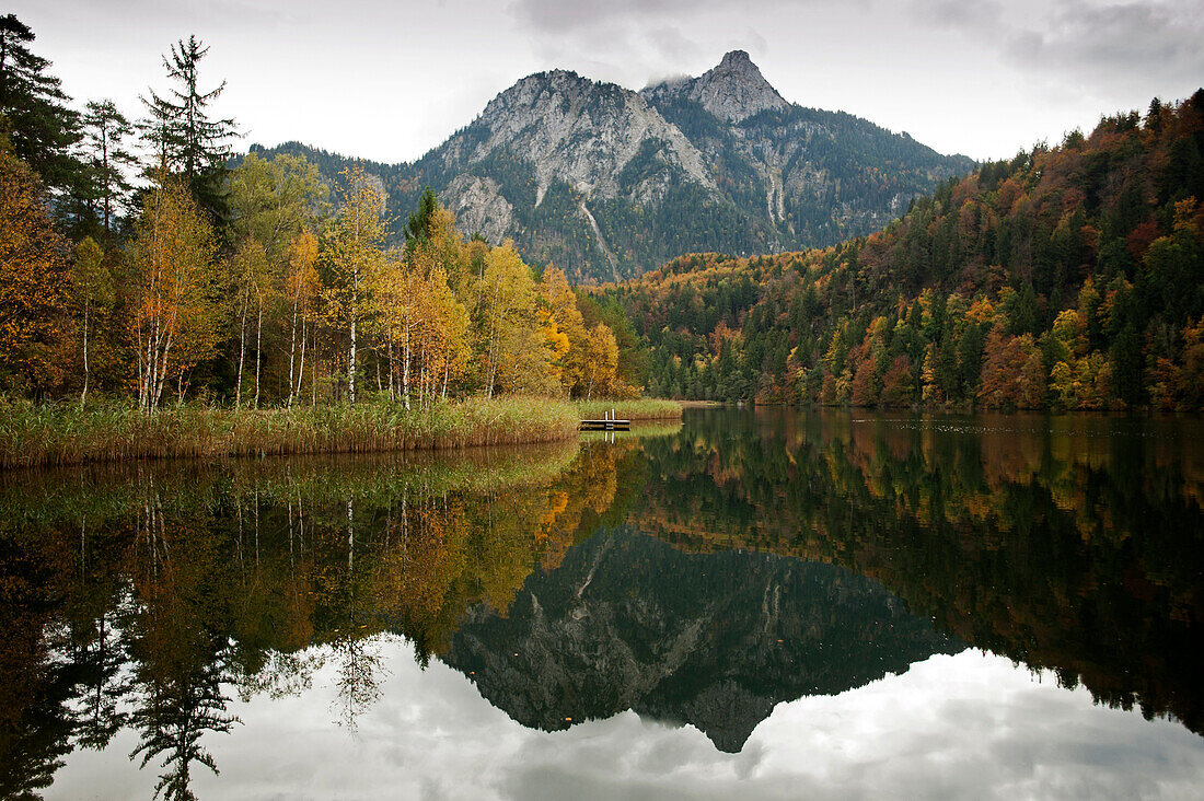 Lake Schwansee with Tegelberg Mountain in the background, Schwaben, Bavaria, Germany