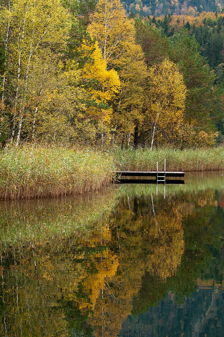 Wooden jetty at lake Schwansee in Autumn, Ostallgaeu, Bavaria, Germany
