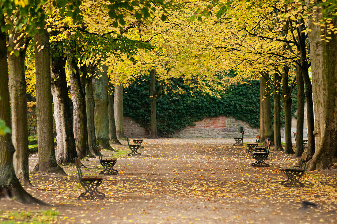 The parklands of Wuerzburg Residence, Wuerzburg, Franconia, Bavaria, Germany
