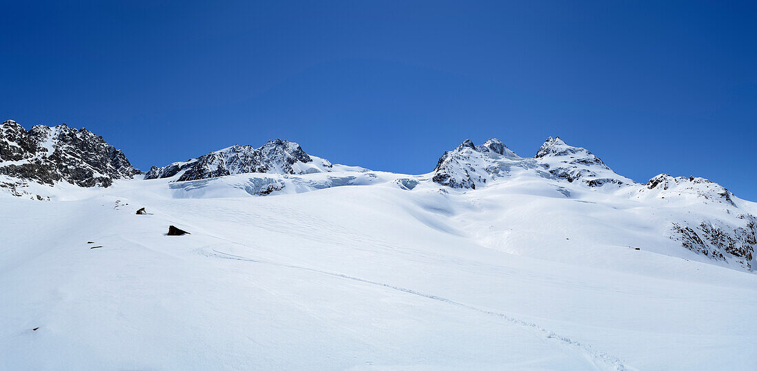 Panorama mit Langtauferer Ferner vor Weißkugeljoch, Weißkugel und Innerer Bärenbartkogel, Weißkugel, Ötztaler Alpen, Südtirol, Italien