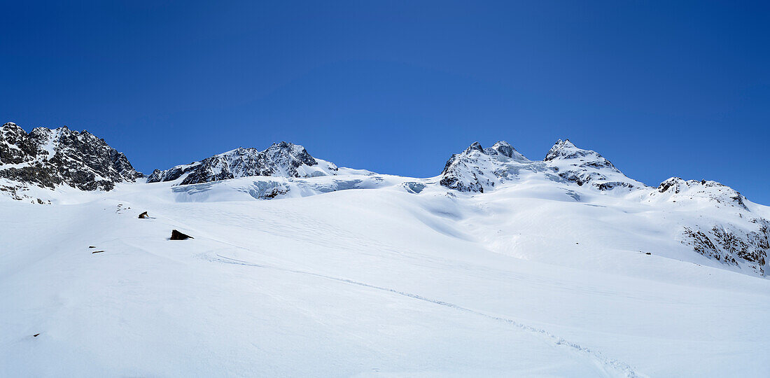 Panorama with Langtauferer Ferner glacier in front of Weisskugeljoch, Weisskugel and Innerer Baerenbartkogel, Weisskugel, Oetztal range, South Tyrol, Italy