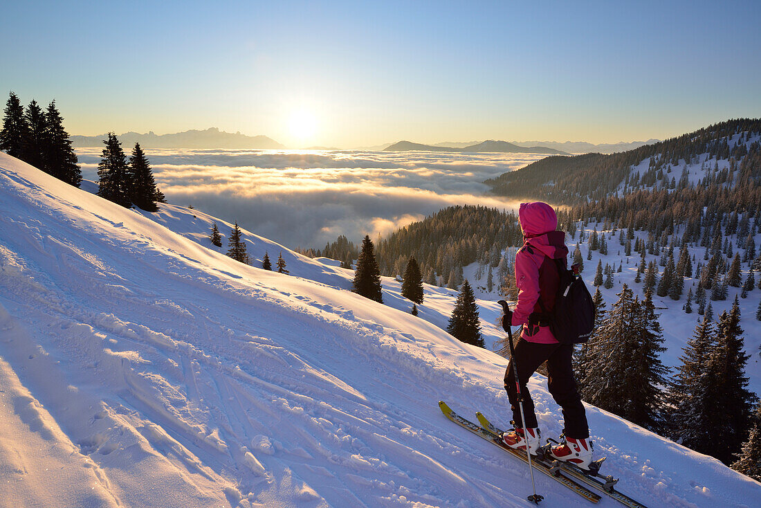 Female backcountry skier ascending to Hochkoenig, Dachstein range and Low Tauern in background, Berchtesgaden Alps, Salzburg, Austria