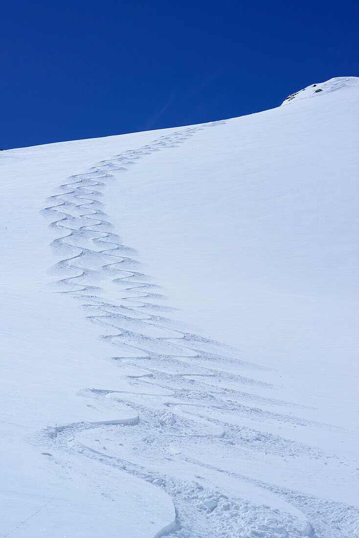 Two downhill tracks of back-country skiers in powder-snow, Vallatscha, Sesvenna range, Ofenpass, Grisons, Switzerland