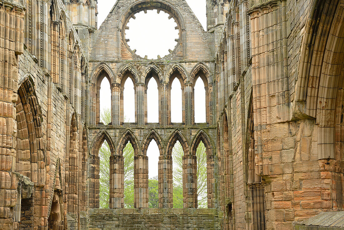 Ruine der Kirche Elgin Cathedral, Elgin Cathedral, Elgin, Moray, Ostküste, Schottland, Großbritannien, Vereinigtes Königreich