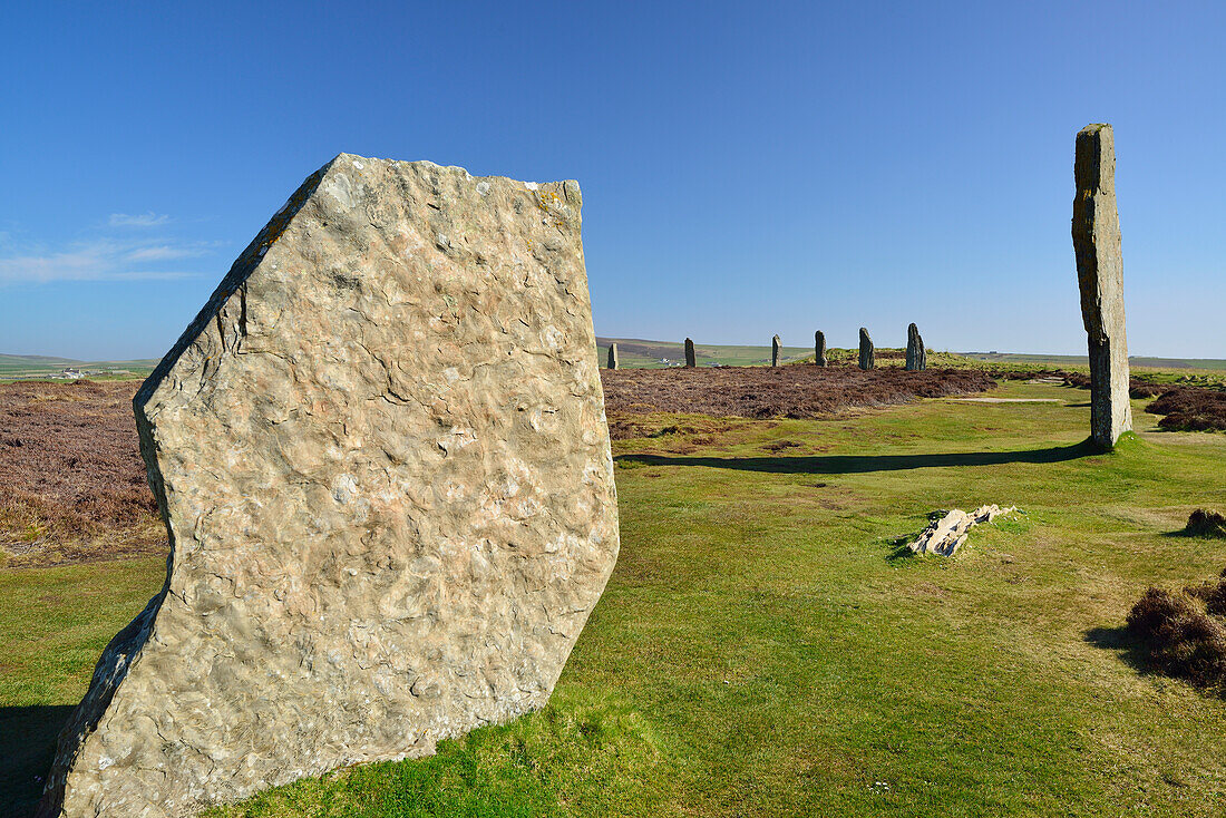 Steinzeitliche Steinsäulen, Ring of Brodgar, UNESCO Weltkulturerbe The Heart of Neolithic Orkney, Orkney Inseln, Schottland, Großbritannien, Vereinigtes Königreich