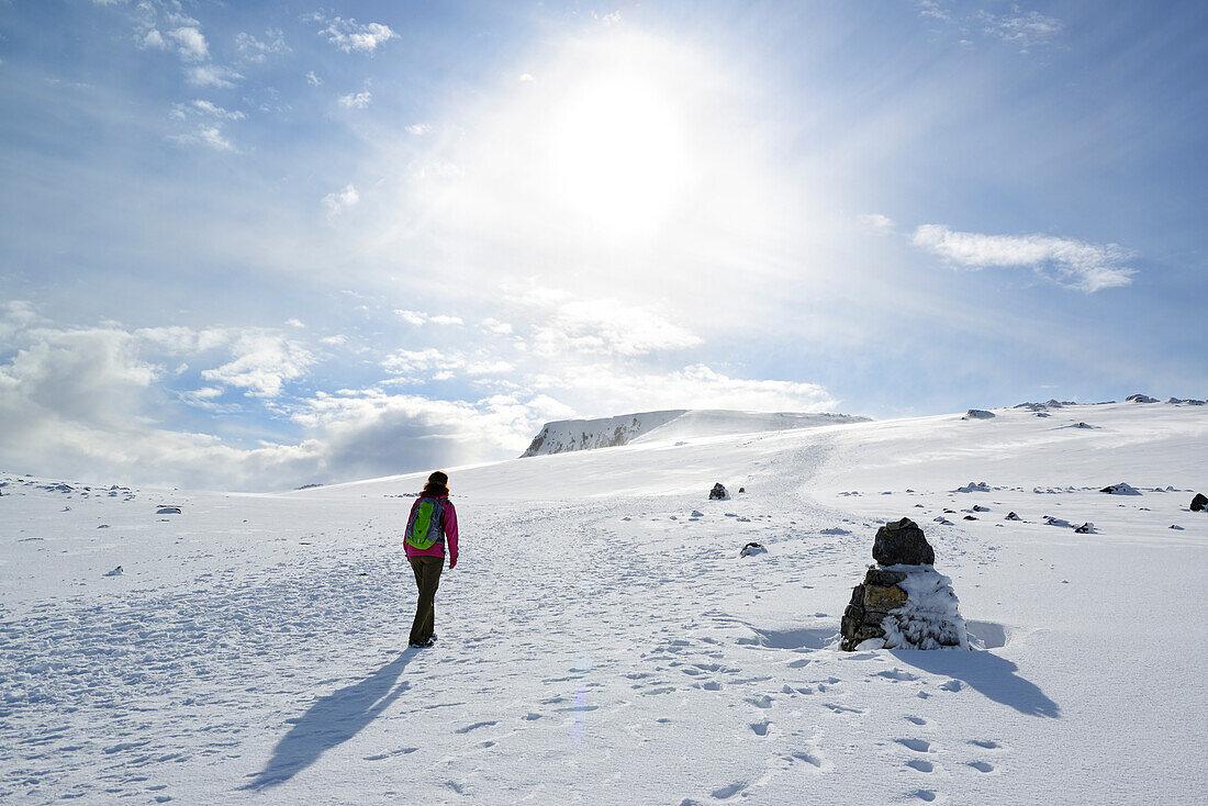 Frau beim Wandern steigt zum Ben Nevis auf, Highlands, Schottland, Großbritannien