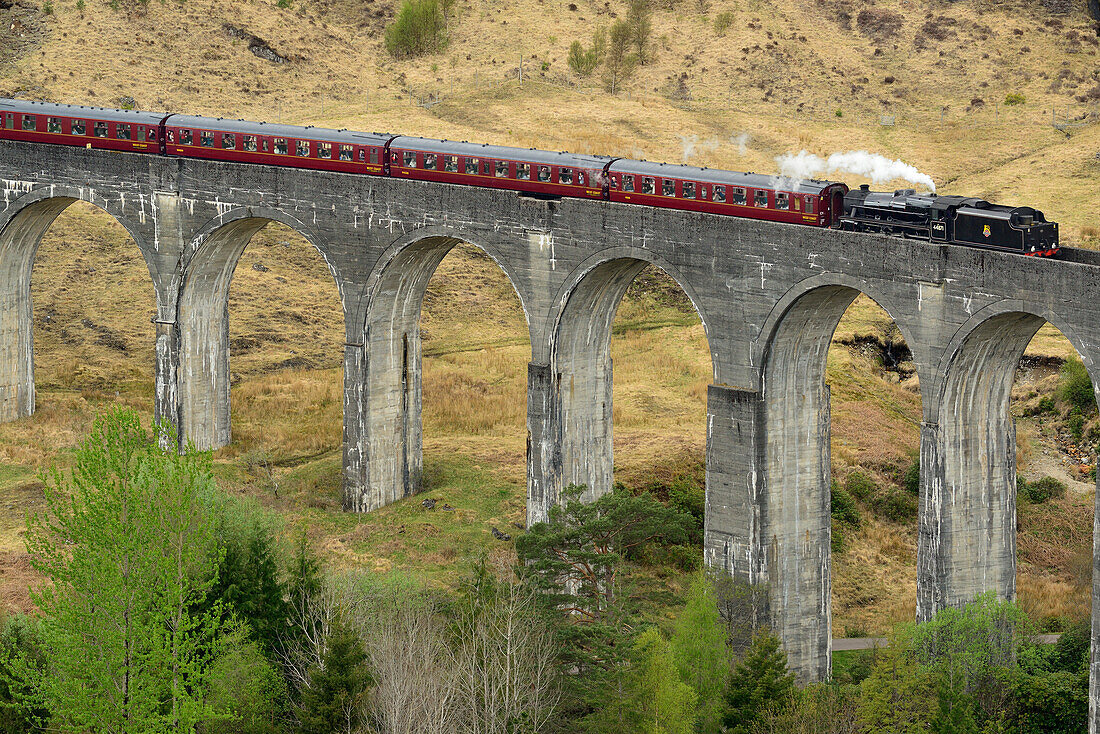 Dampflok fährt über Glenfinnan Viadukt, Glenfinnan Viadukt, Hogwarts-Express, Harry-Potter-Filme, Harry Potter, Highland, Schottland, Großbritannien, Vereinigtes Königreich