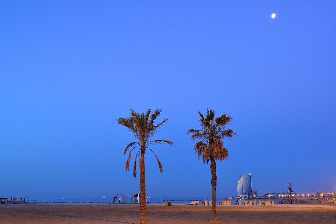 W-Hotel und Strand mit Palmen, beleuchtet, Architekt Ricardo Bofill, Barceloneta, Barcelona, Katalonien, Spanien