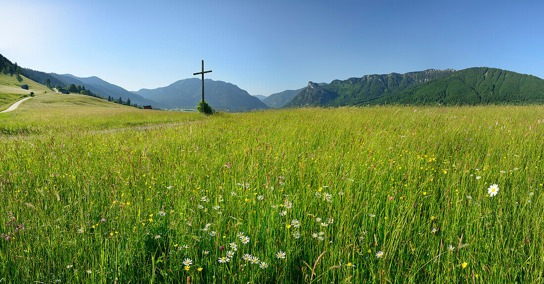 Panorama mit Blumenwiese und Kreuz, Laber und Kofel über dem Talkessel von Oberammergau im Hintergrund, Oberammergau, Ammergauer Alpen, Bayerische Alpen, Oberbayern, Bayern, Deutschland