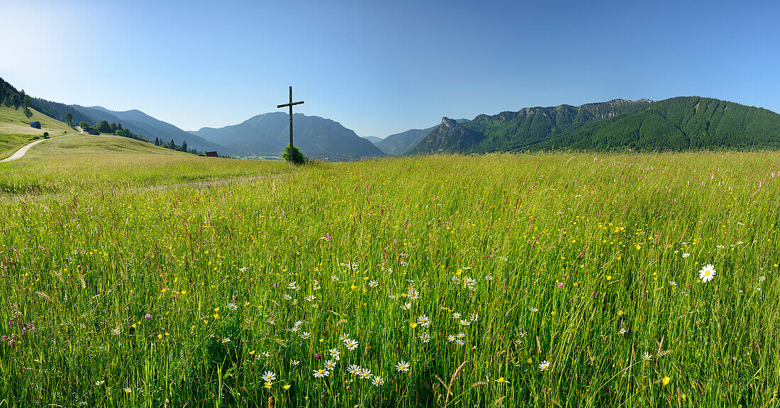 Panorama with flowering meadow and wayside cross, Laber and Kofel above valley of Oberammergau in the background, Oberammergau, Ammergau range, Bavarian Alps, Upper Bavaria, Bavaria, Germany