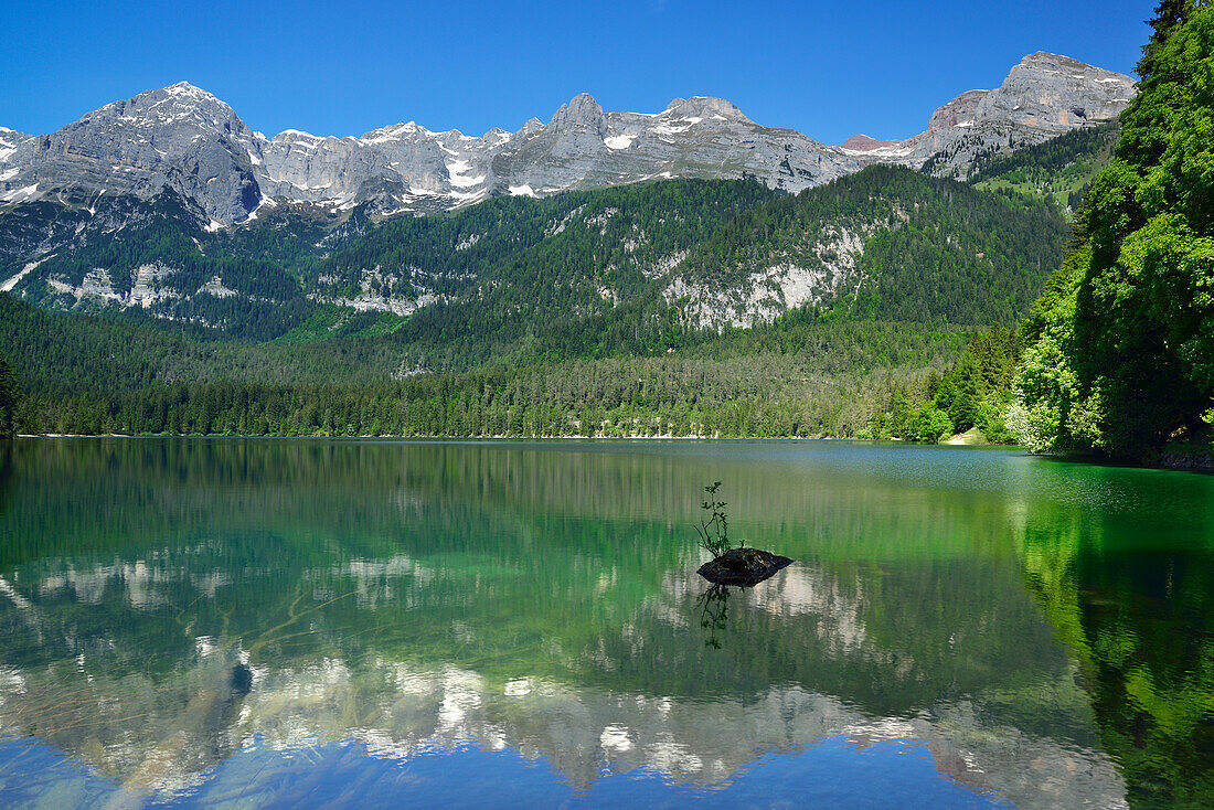 Lake Tovel with Brenta range, lake Tovel, Brenta range, Brenta, Dolomites, UNESCO World Heritage Site Dolomites, Trentino, Italy