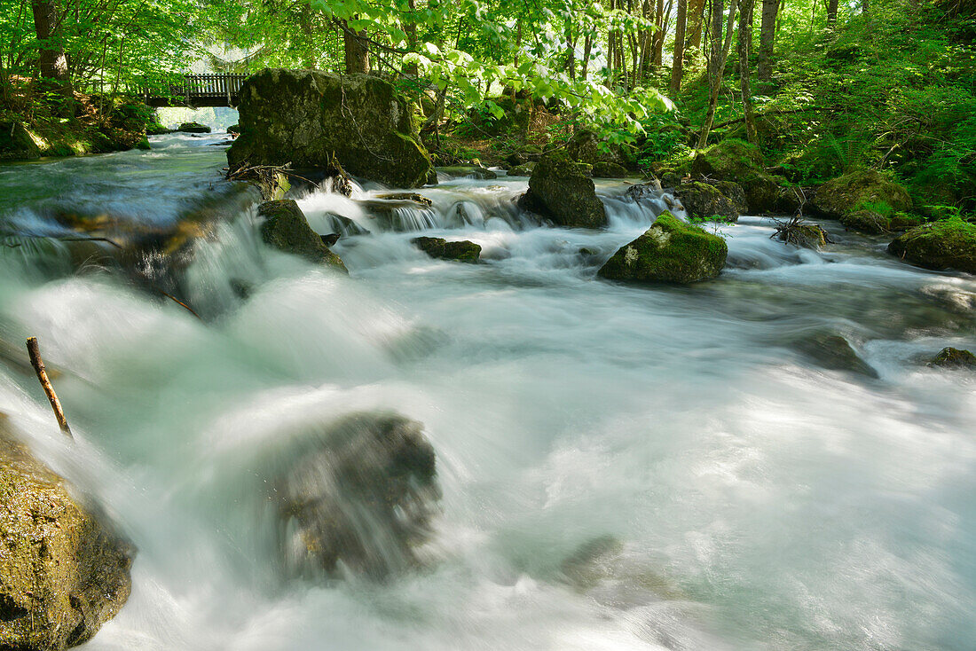 Stream at lake Tovel, lake Tovel, Brenta range, Brenta, Dolomites, UNESCO World Heritage Site Dolomites, Trentino, Italy