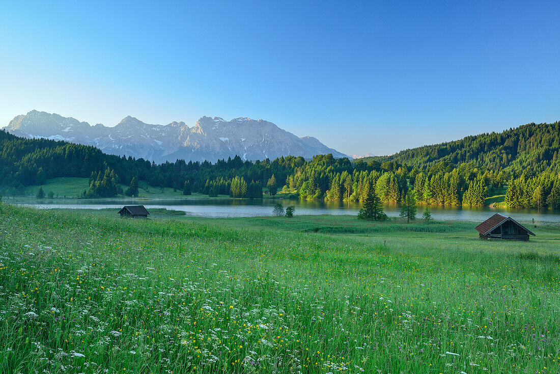 Flowering meadow and haystack at lake Geroldsee, Karwendel range in background, lake Geroldsee, Werdenfels, Garmisch-Partenkirchen, Bavarian Alps, Upper Bavaria, Bavaria, Germany