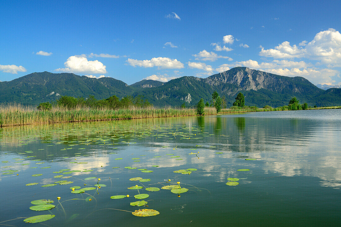 Lake Eichsee with Jochberg, lake Eichsee, Kochelseemoor, Kochel, Bavarian Alps, Upper Bavaria, Bavaria, Germany