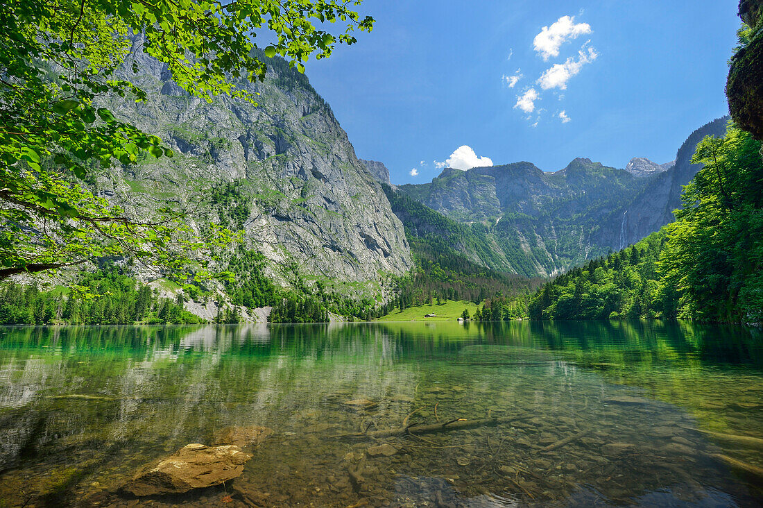 Obersee mit Teufelshorn im Hintergrund, Obersee, Königssee, Berchtesgadener Alpen, Nationalpark Berchtesgaden, Berchtesgaden, Oberbayern, Bayern, Deutschland