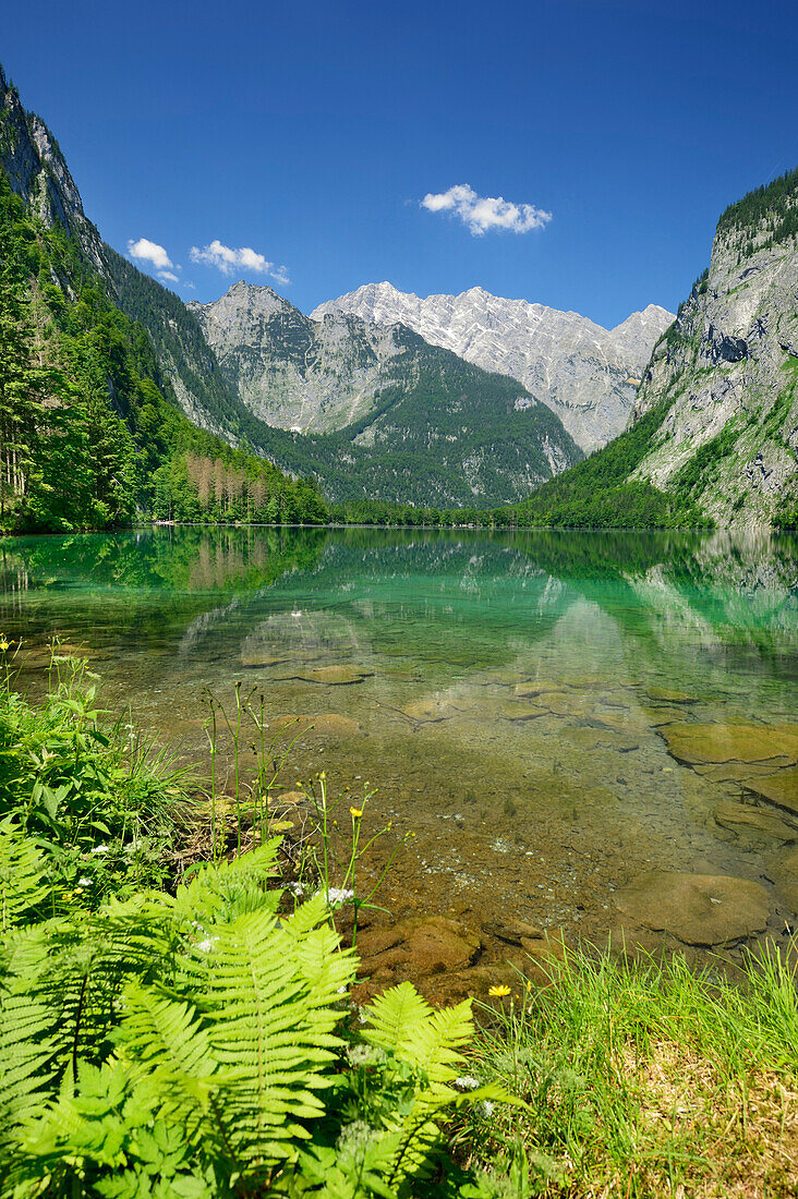 Lake Obersee with Hachelkoepfe and Watzmann, lake Obersee, lake Koenigssee, Berchtesgaden range, National Park Berchtesgaden, Berchtesgaden, Upper Bavaria, Bavaria, Germany