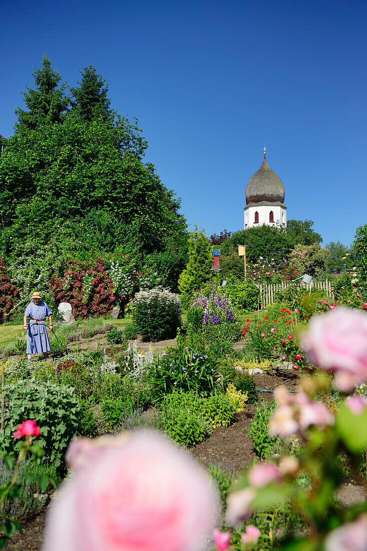 Nun working in an abbey garden, Frauenwoerth church, Frauenchiemsee island, lake Chiemsee, Chiemgau, Upper Bavaria, Bavaria, Germany