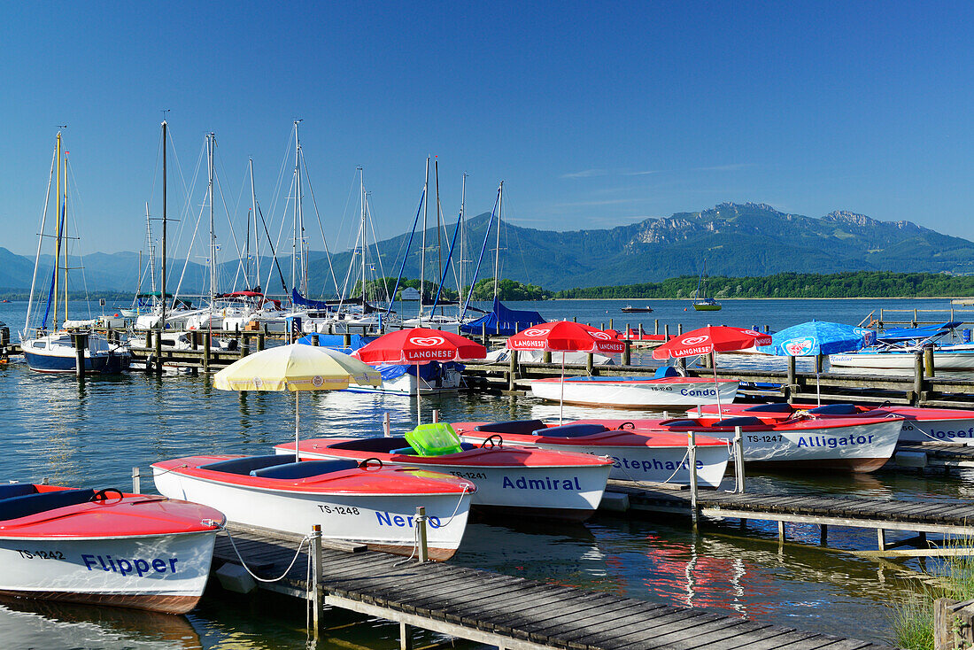 Rowing boats and sailing boats at lake Chiemsee with Hochplatt and Kampenwand in background, Gstadt, lake Chiemsee, Chiemgau, Upper Bavaria, Bavaria, Germany