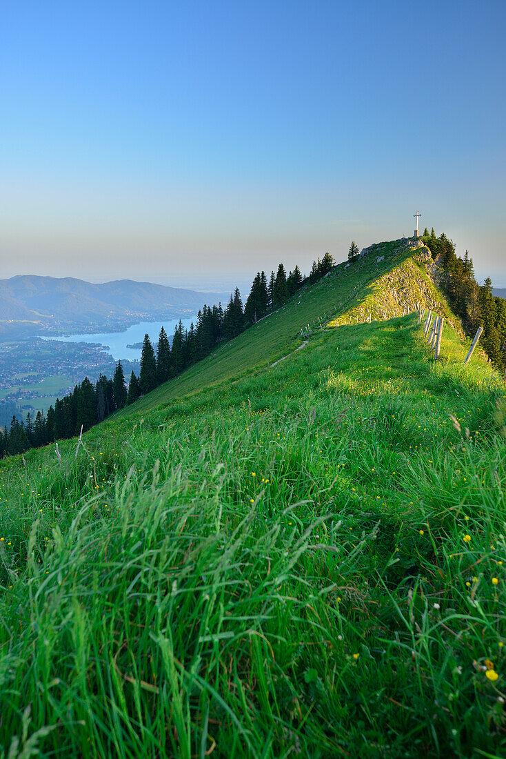 Wiese am Gipfel der Bodenschneid, Tegernsee im Hintergrund, Bodenschneid, Spitzing, Bayerische Alpen, Oberbayern, Bayern, Deutschland