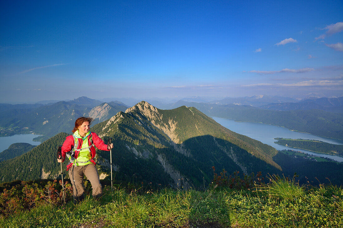 Female hiker ascending to Heimgarten, lake Kochelsee, Benediktenwand, Jochberg, Herzogstand and lake Walchensee in background, Upper Bavaria, Bavaria, Germany