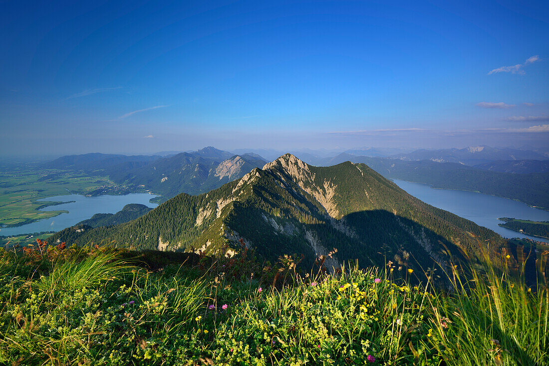 View from Heimgarten to lake Kochelsee, Benediktenwand, Jochberg, Herzogstand and lake Walchensee, Heimgarten, Bavarian Alps, Upper Bavaria, Bavaria, Germany