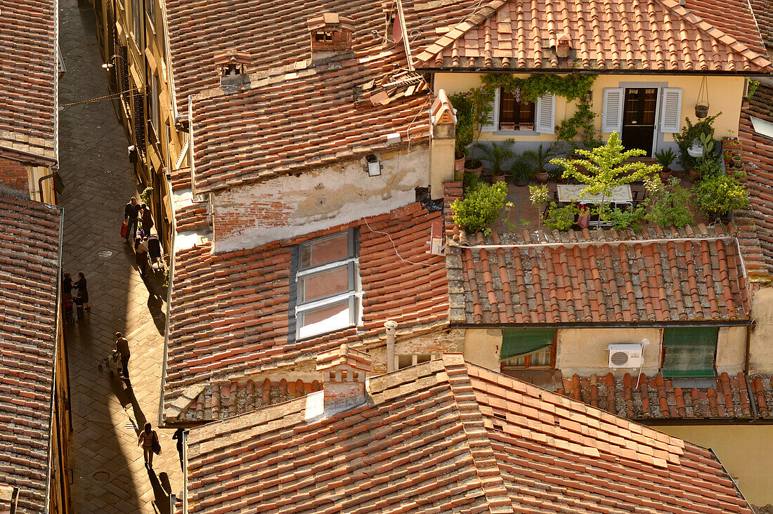 Blick vom Torre Guinigi auf die Dächer von Lucca, Toskana, Italien
