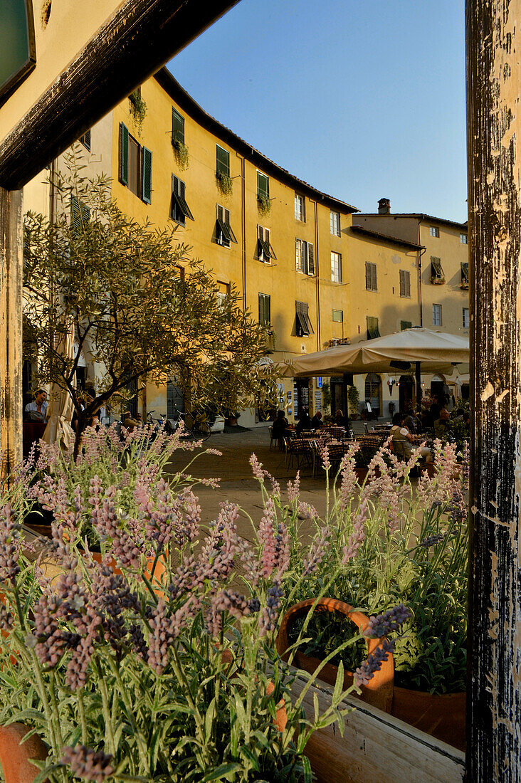 Blick in einen Spiegel zeigt Häuser und Restaurant an der ovalen Piazza dell'Anfitheatro, Lucca, Toskana, Italien